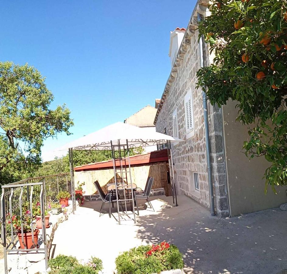 Holiday apartment Maslina Paho Babino Polje Bagian luar foto