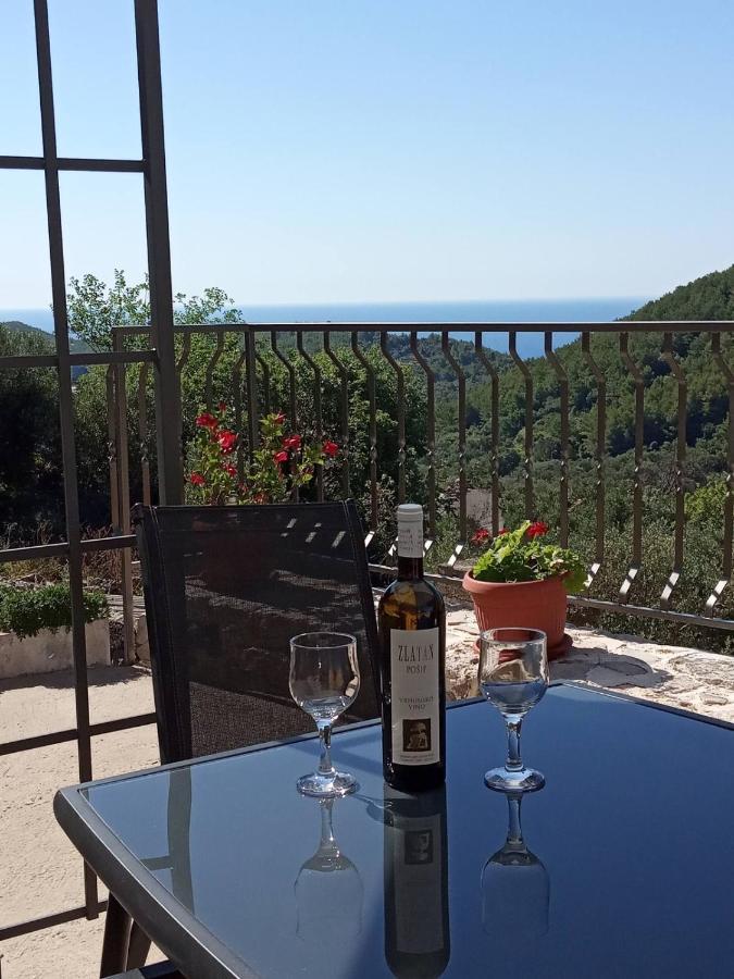 Holiday apartment Maslina Paho Babino Polje Bagian luar foto