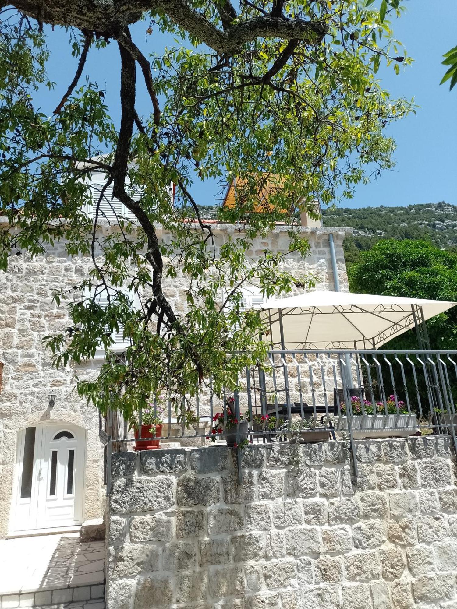 Holiday apartment Maslina Paho Babino Polje Bagian luar foto