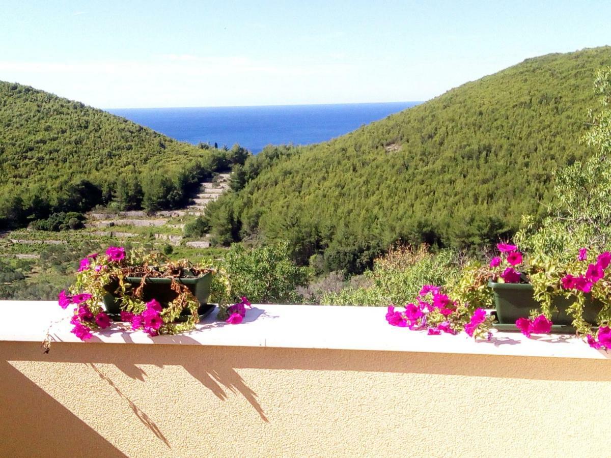 Holiday apartment Maslina Paho Babino Polje Bagian luar foto